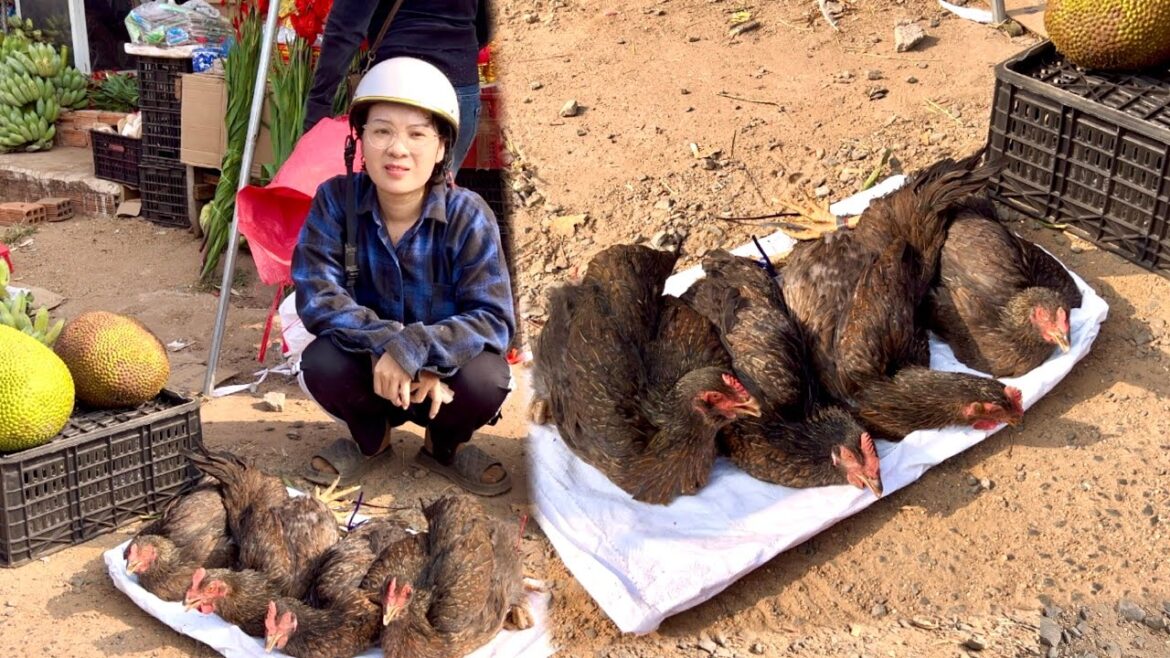 Selling chickens at the market - treating pigs - grow vegetable - gardening #10