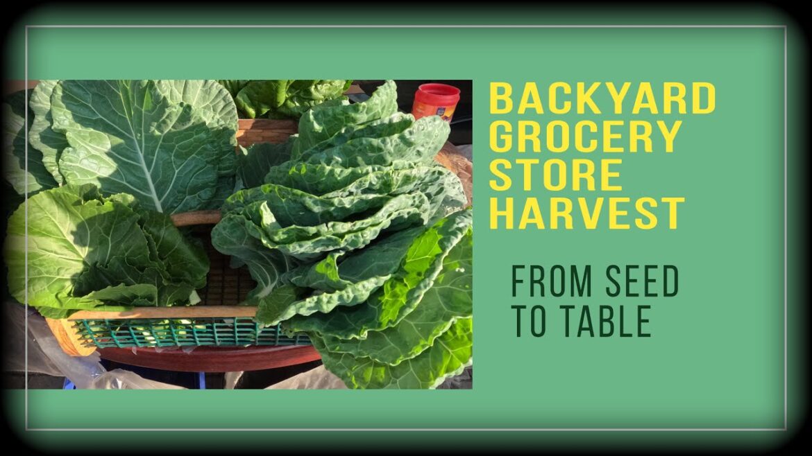 How to Maximize Vegetable Harvest How to Maximize Vegetable Harvest