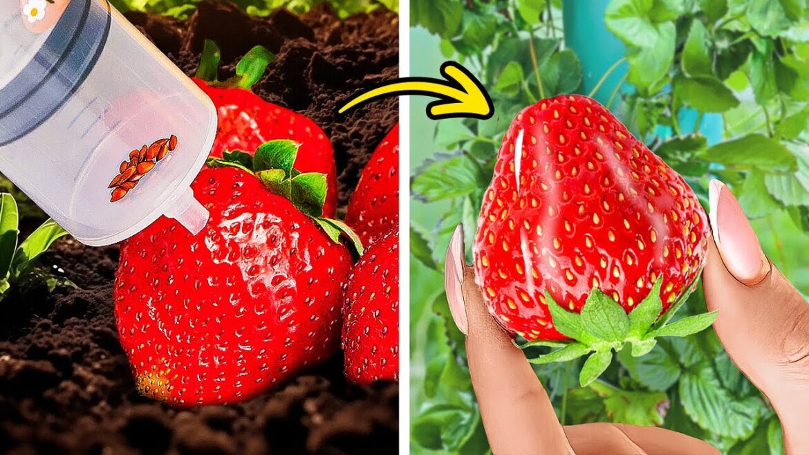 Garden Hacks 101! Simple and Effective Tips for a Thriving Garden Garden Hacks 101! Simple and Effective Tips for a Thriving Garden