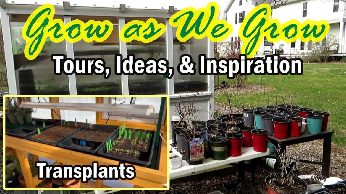 Garden Ideas, Inspiration, Talk, & Tours: Seed Starts, A File Cabinet Raised Bed, Greenhouses E-12