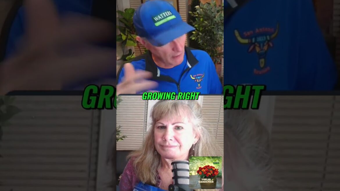 Spring Vegetable Planting Guide  When to Plant Lettuce, Kale, Broccoli, and More!