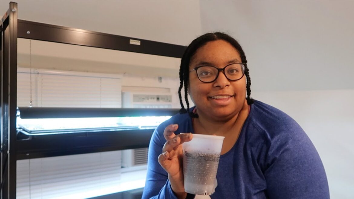 February Seed Starting Update + Let's Up-pot! | 2024 Backyard Garden