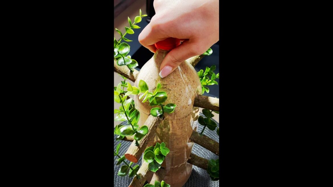Growing tree in a bottle DIY 🌳 #shorts #diy #garden #decor #green Growing tree in a bottle DIY 🌳 #shorts #diy #garden #decor #green