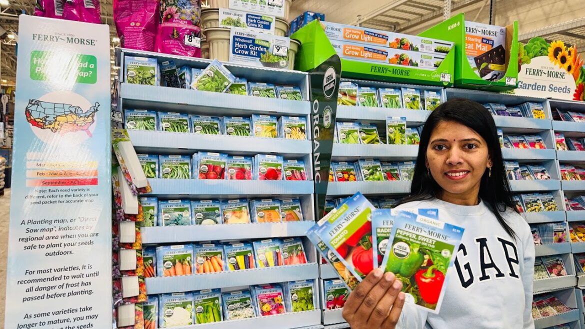 2024 Spring, Summer crop SEED Inventory | Lowe’s , NJ | Vegetable seeds | Backyard Garden Highlights 2024 Spring, Summer crop SEED Inventory | Lowe's , NJ | Vegetable seeds | Backyard Garden Highlights