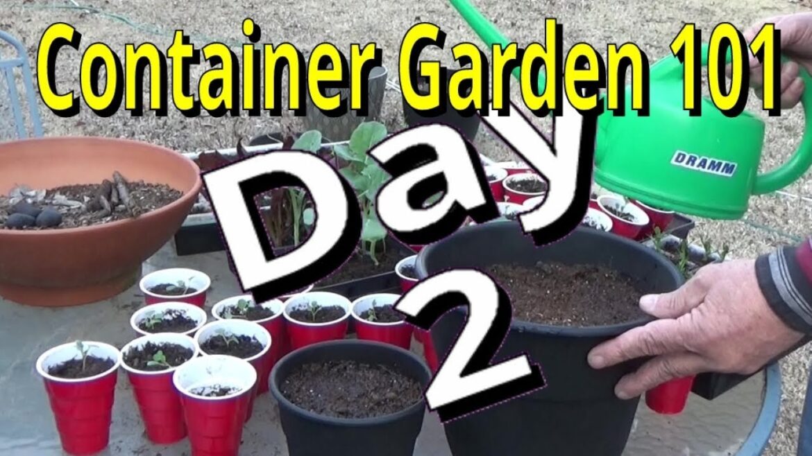 Container Gardening For Beginners Day 2, Garden #Withme 2-22-2024