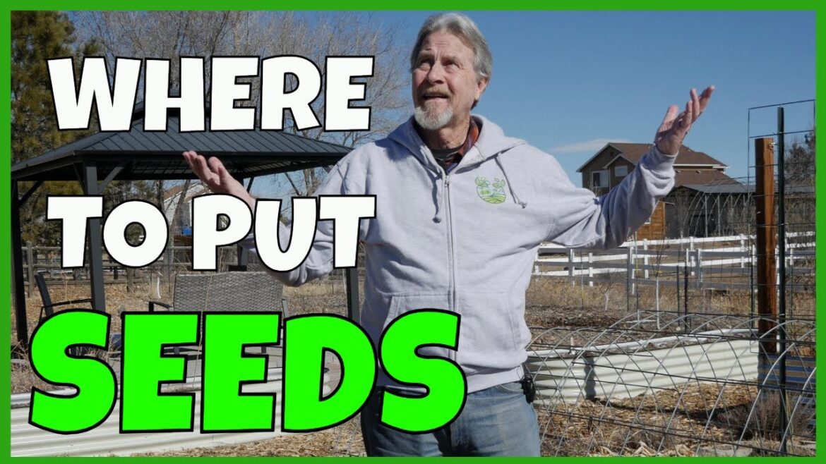 Planning Garden Beds (for Seeds) Planning Garden Beds (for Seeds)