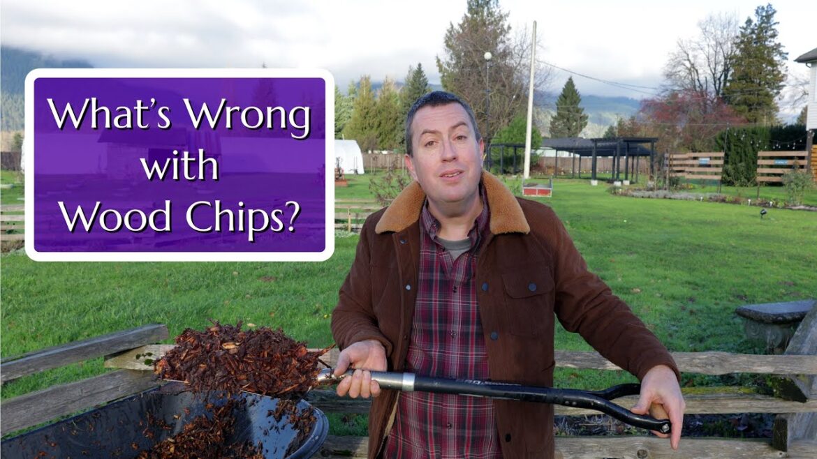 What’s Wrong with Wood Chips in the Garden? What's Wrong with Wood Chips in the Garden?