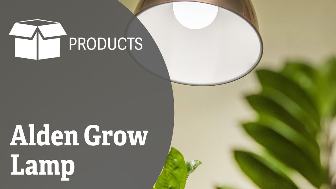 Alden Grow Lamp Alden Grow Lamp