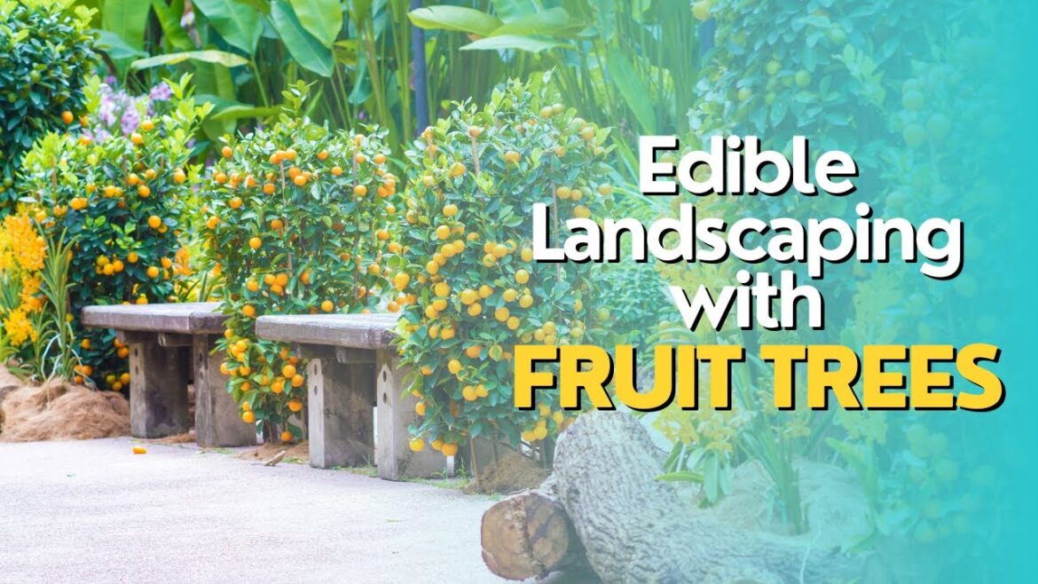 Edible Landscaping with Fruit Trees