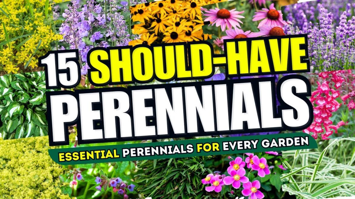 Top 15 Perennials Every Garden SHOULD HAVE! š« Essential Plants Your Garden Can’t Do Without! š» Top 15 Perennials Every Garden SHOULD HAVE! š« Essential Plants Your Garden Can't Do Without! š»