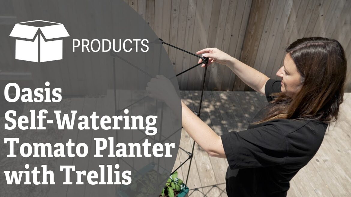 Oasis Self-Watering Tomato Planter with Trellis Oasis Self-Watering Tomato Planter with Trellis