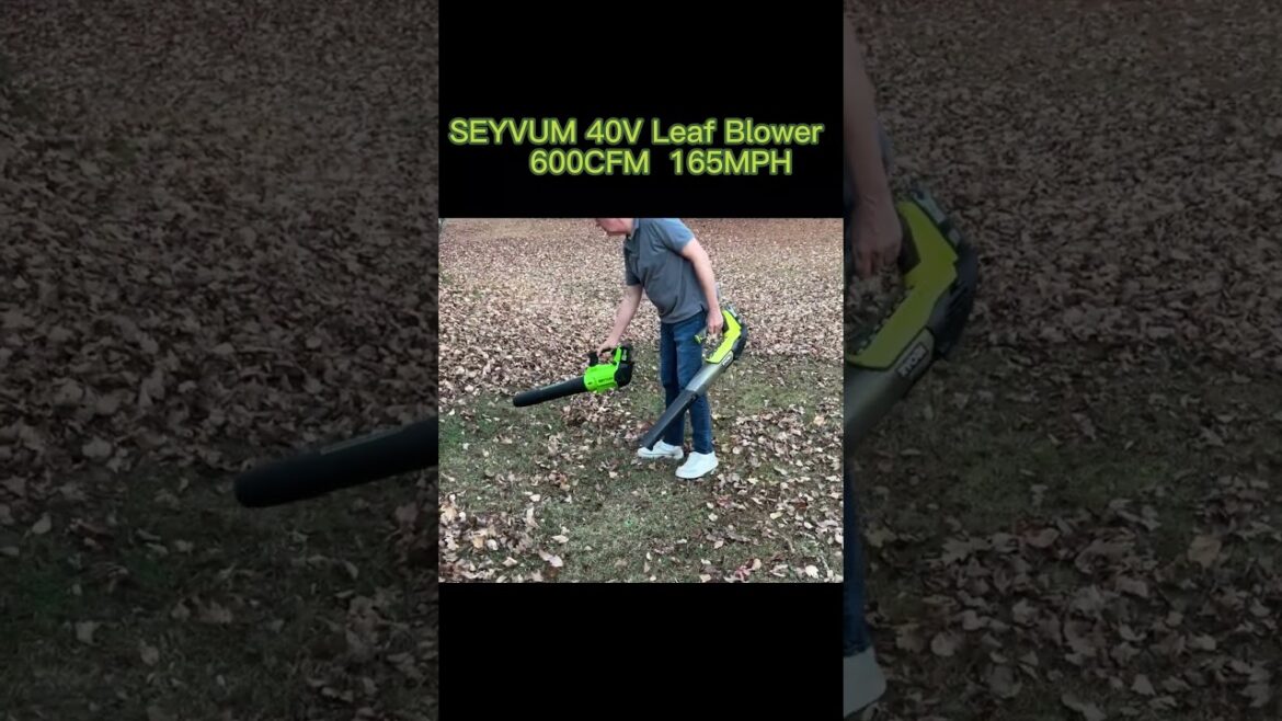 SEYVUM 8193 leaf blower  #gardening #leafblower #outdoortools #tools #powerful #seyvum