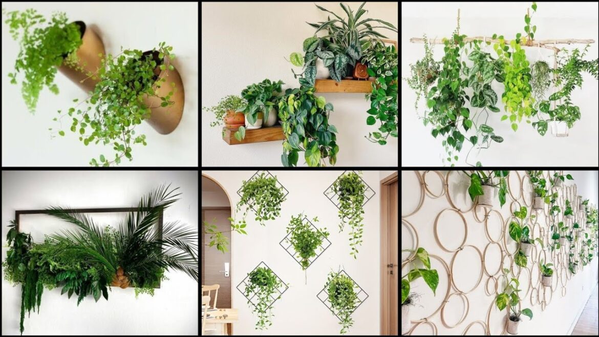 30 Modern and Elegant Vertical Wall PlanterPots Ideas #wallplanter #pots #ideas #indoor#outdoor 30 Modern and Elegant Vertical Wall PlanterPots Ideas #wallplanter #pots #ideas #indoor#outdoor