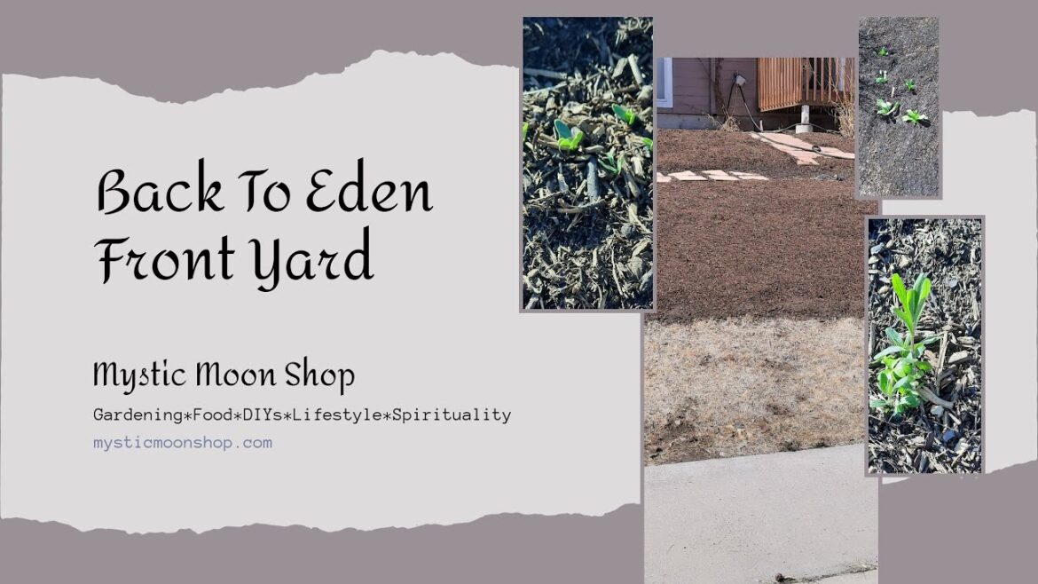 Front Yard Garden Back To Eden Style Front Yard Garden Back To Eden Style