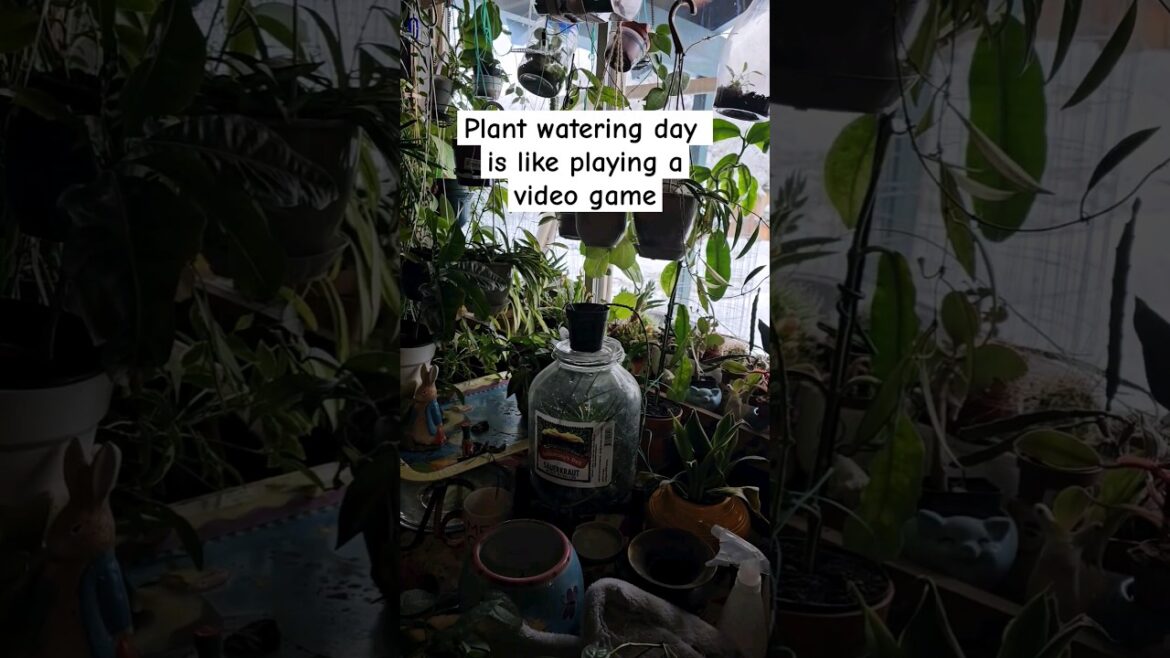 GAMER GARDENER🤣 #houseplants #plants #plantcare #videogames GAMER GARDENER🤣 #houseplants #plants #plantcare #videogames