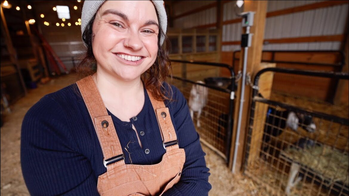 Roots and Refuge Farm: Introducing Our New Dairy Goat Herd (Goat Day- Part Two) | VLOG Introducing Our New Dairy Goat Herd (Goat Day- Part Two) | VLOG