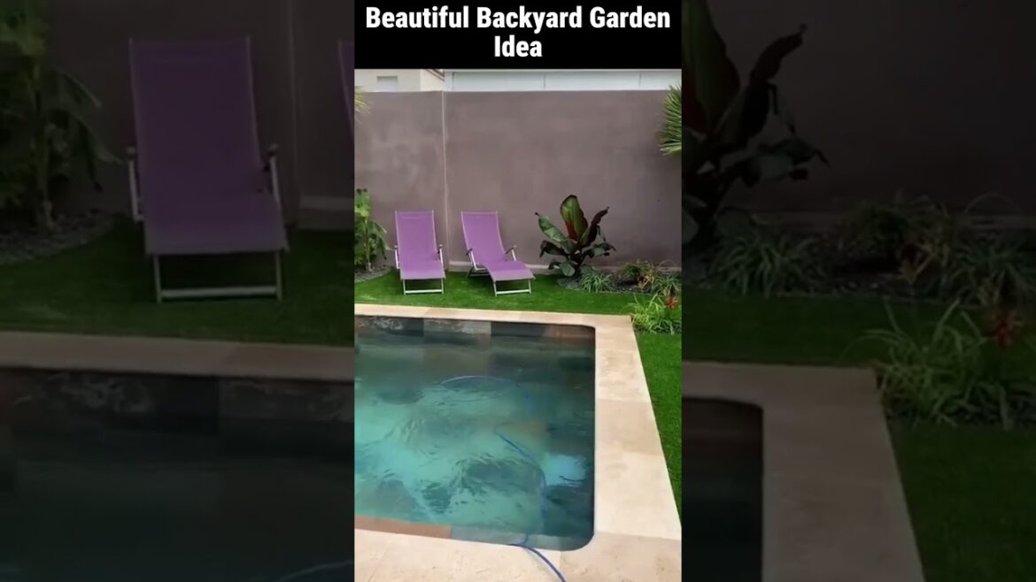 Beautiful backyard garden  #gardendecorationideas #diy#shorts #viral #backyard #garden