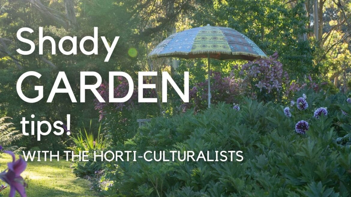 Shade gardening success with The Horti-Culturalists + how to choose the best plants for shade Shade gardening success with The Horti-Culturalists + how to choose the best plants for shade