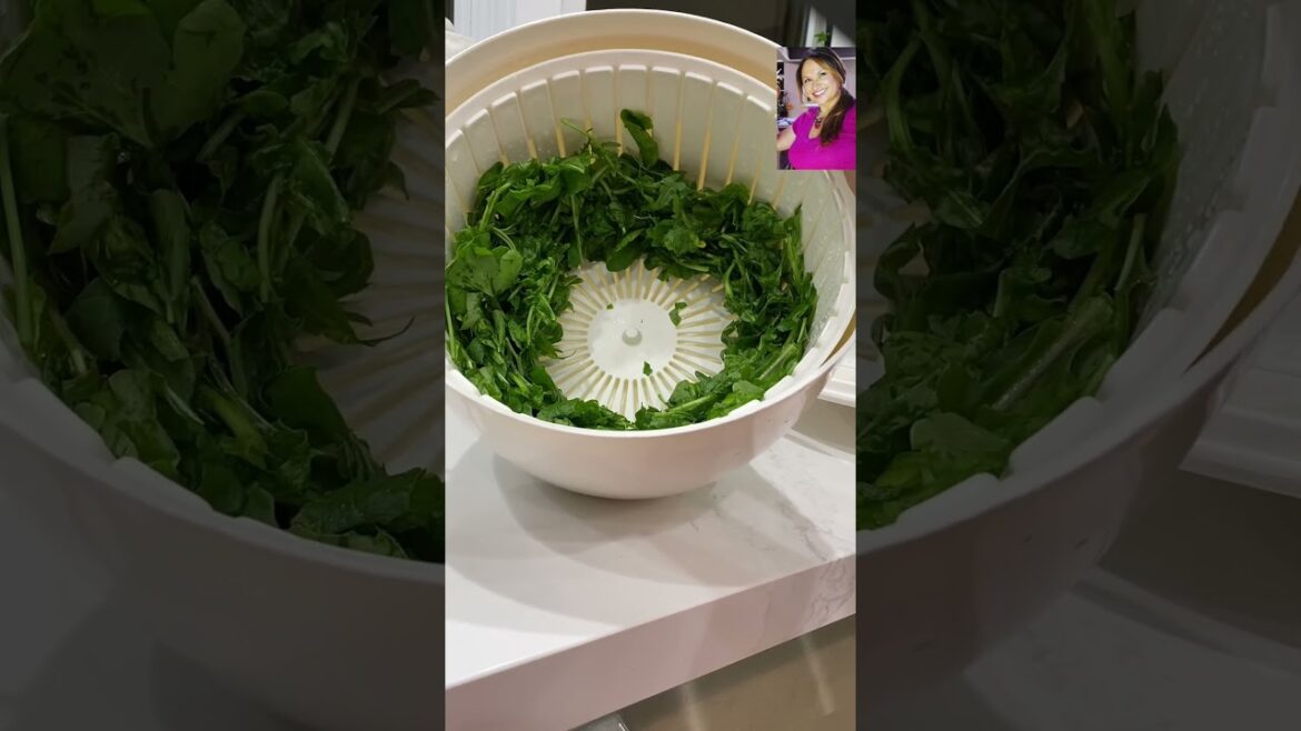 ✅ How to Wash and Store Homegrown ARUGULA with Salad Spinner/ Foodie Gardener #short ✅ How to Wash and Store Homegrown ARUGULA with Salad Spinner/ Foodie Gardener #short