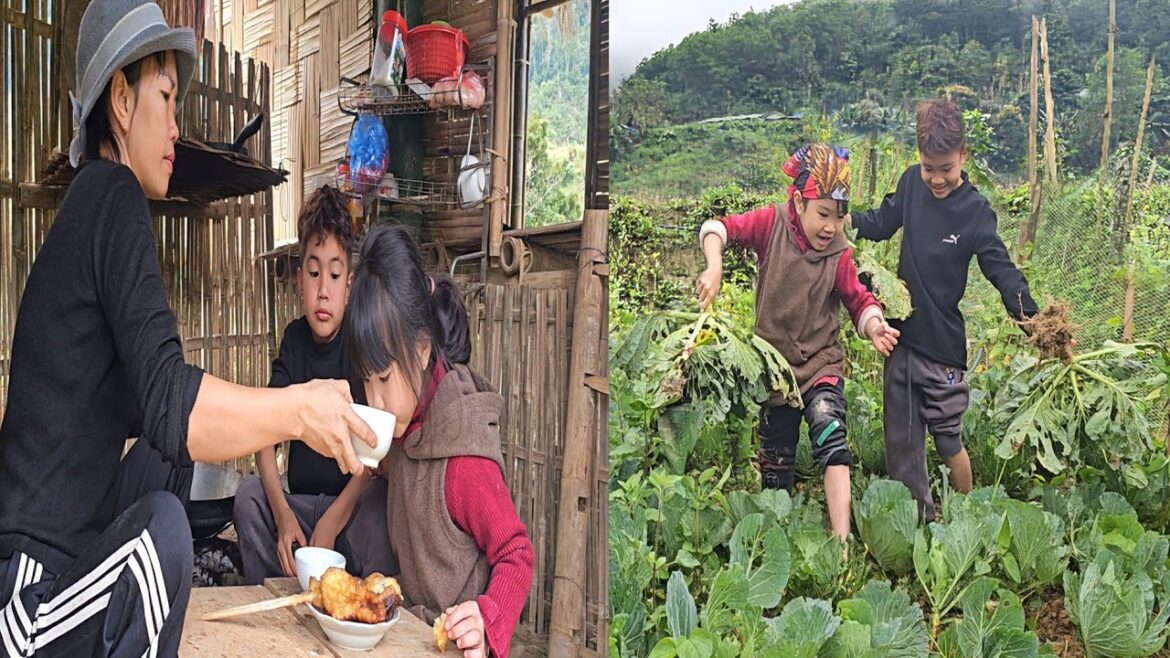 Gardening with two children - harvesting vegetables to sell at the market - cooking potato cakes!