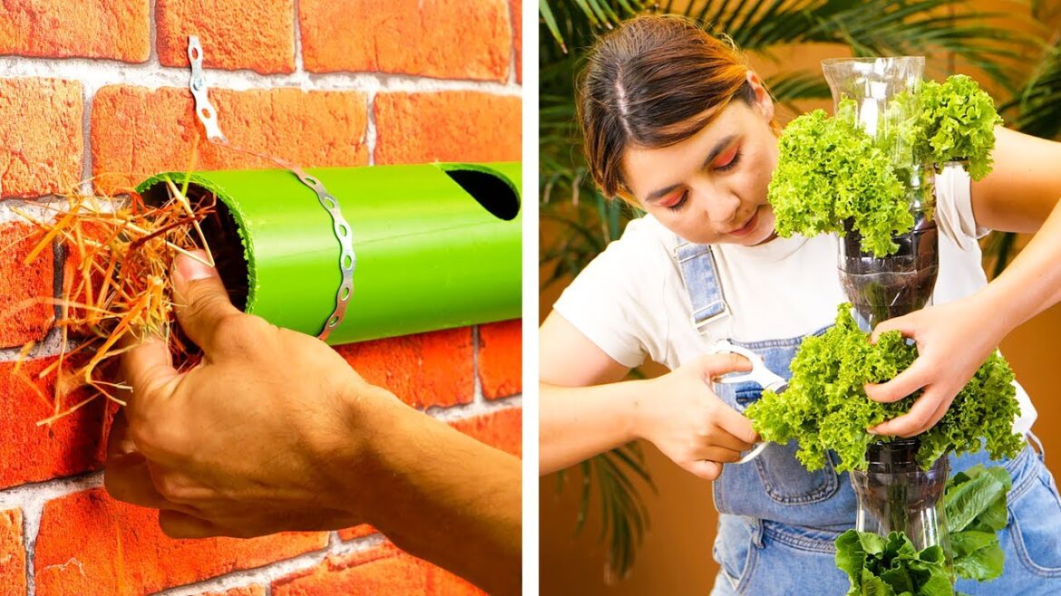 Smart Gardening Tips And Clever Plant Hacks
