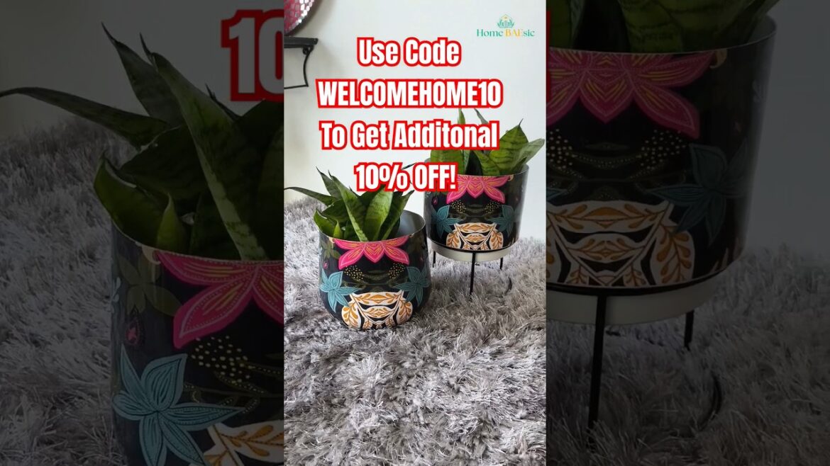 🌸✨ 𝐋𝐨𝐨𝐤𝐢𝐧𝐠 𝐟𝐨𝐫 𝐭𝐡𝐞 𝐩𝐞𝐫𝐟𝐞𝐜𝐭 𝐫𝐞𝐭𝐮𝐫𝐧 𝐠𝐢𝐟𝐭 𝐭𝐡𝐚𝐭 𝐛𝐥𝐨𝐨𝐦𝐬 𝐰𝐢𝐭𝐡 𝐣𝐨𝐲? For Indoor Home & Garden by Home BAEsic