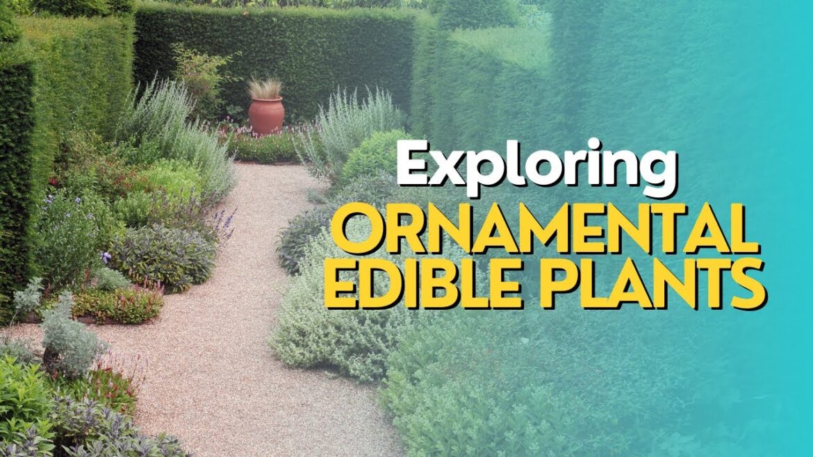 Exploring Ornamental Edible Plants Exploring Ornamental Edible Plants