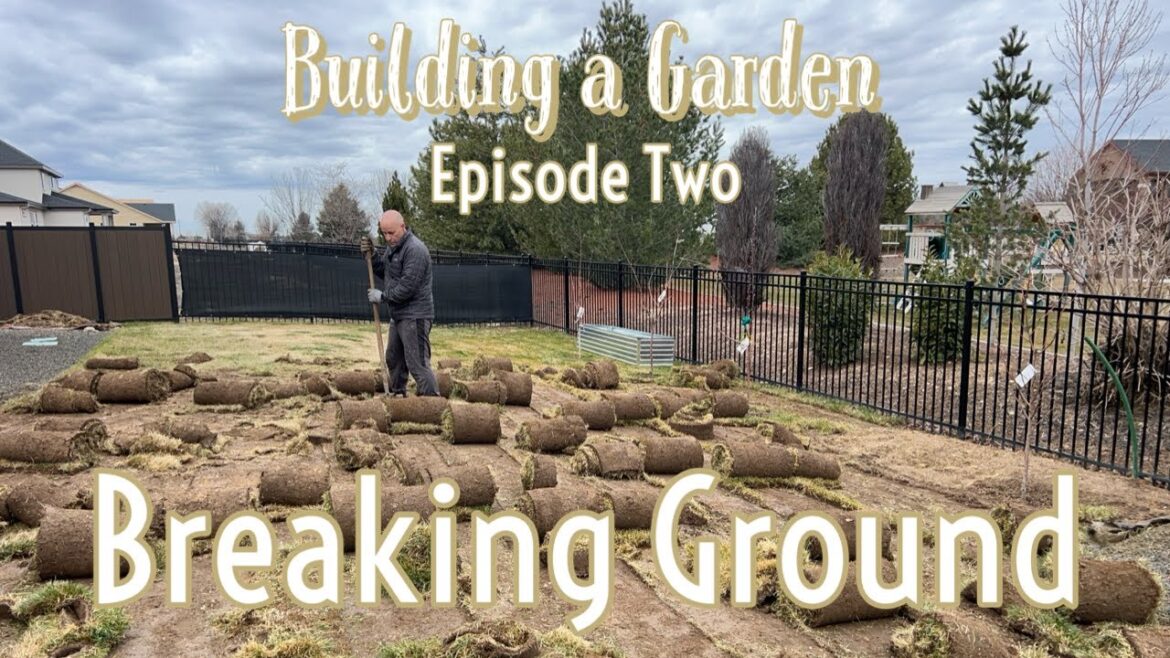 Building a Garden | Removing the sod + irrigation mini tutorial