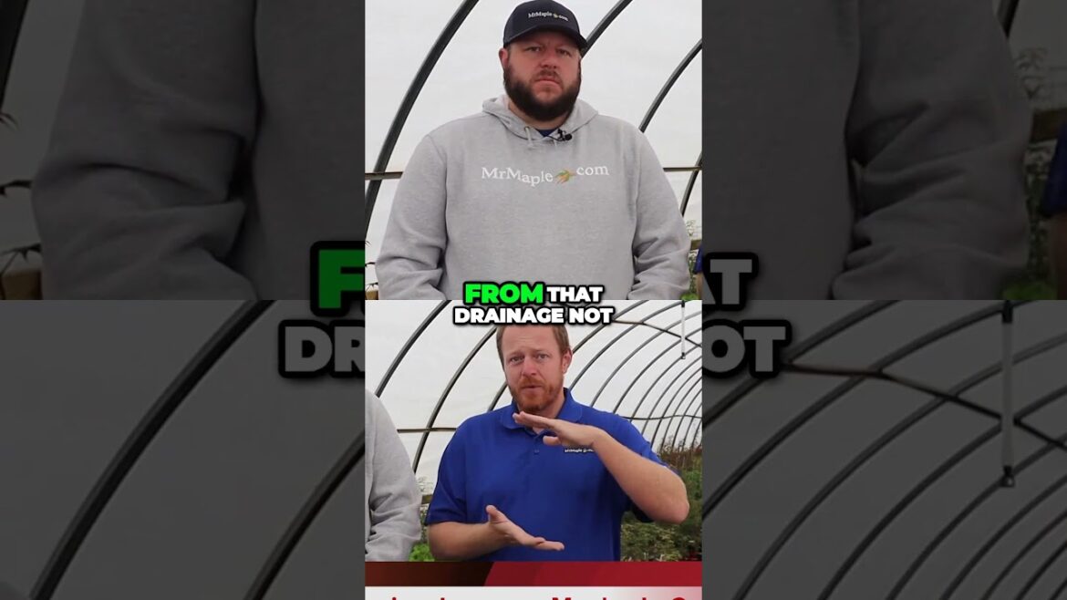 Great Japanese Maple Container Garden Tips! Mastering Drainage for Thriving Trees