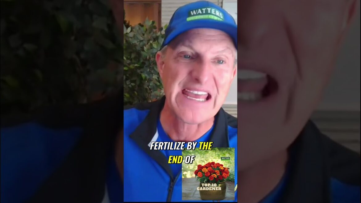 Supercharge Your Garden Growth  The Essential Guide to Fertilizing Plants