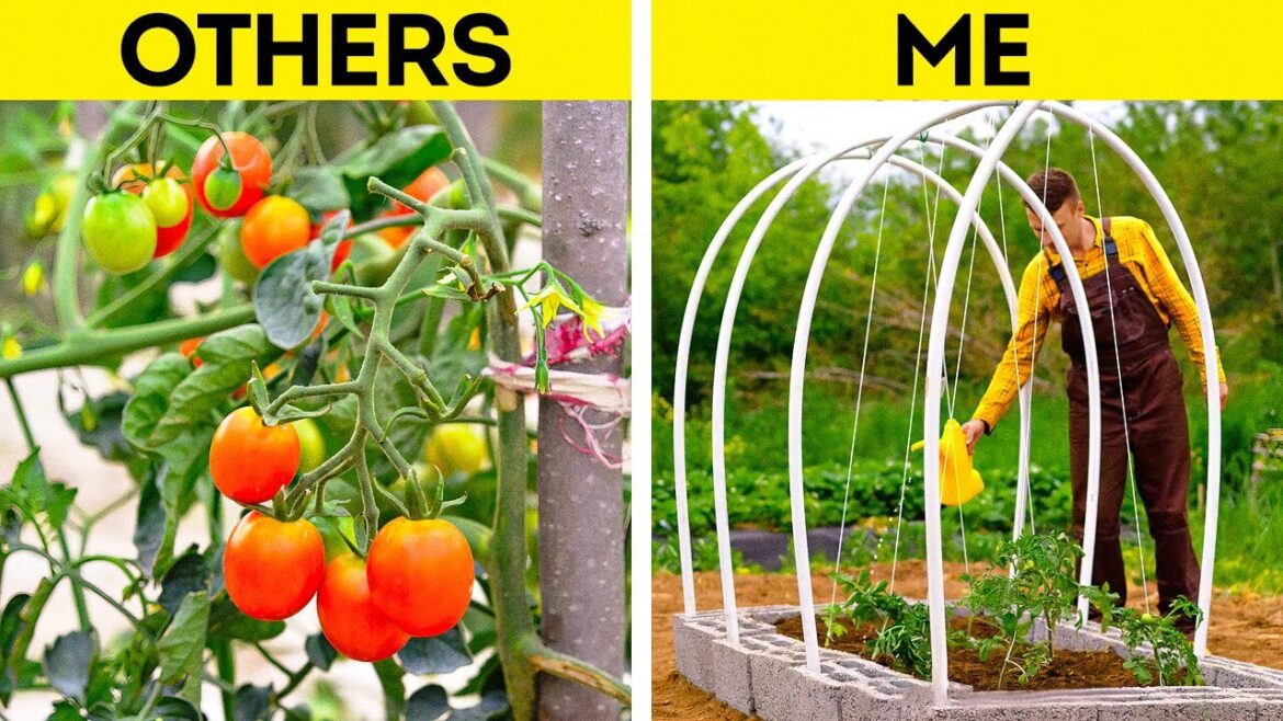 Unique Plant Growing Hacks And Smart Gardening Tools