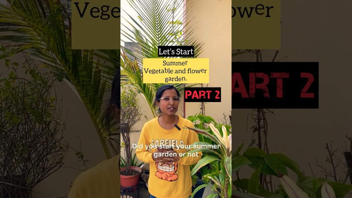 Summer vegetable 🥗 #shortsvideo #shortvideo #youtubeshorts #plantlovers #gardening