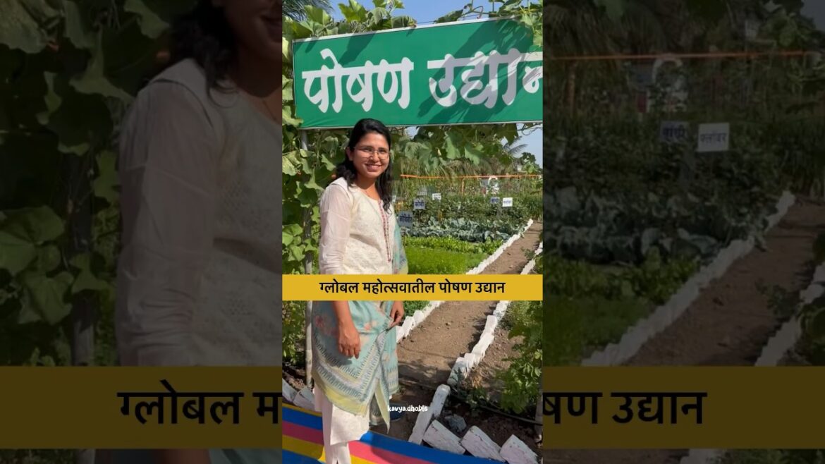 १ गुंठ्यात ७८ प्रकारचा भाजीपाला | अन्नपूर्णा किचन गार्डन | पोषण उद्यान ☘️#farming #shorts #garden १ गुंठ्यात ७८ प्रकारचा भाजीपाला | अन्नपूर्णा किचन गार्डन | पोषण उद्यान ☘️#farming #shorts #garden