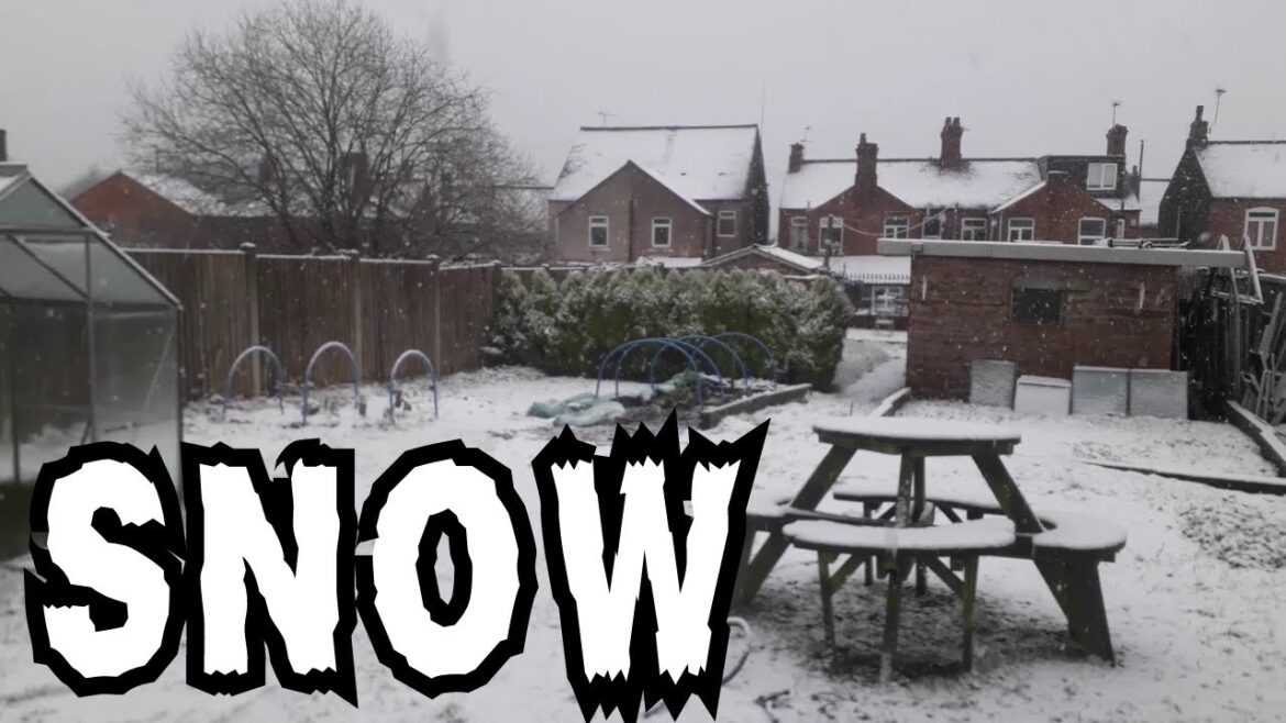 Snow Is Back [Gardening Allotment UK] [Grow Vegetables At Home ]