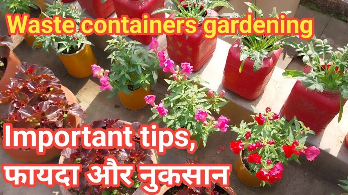 Waste containers Gardening कैसे करें / Pros and cons of containers Gardening / Use of Waste material