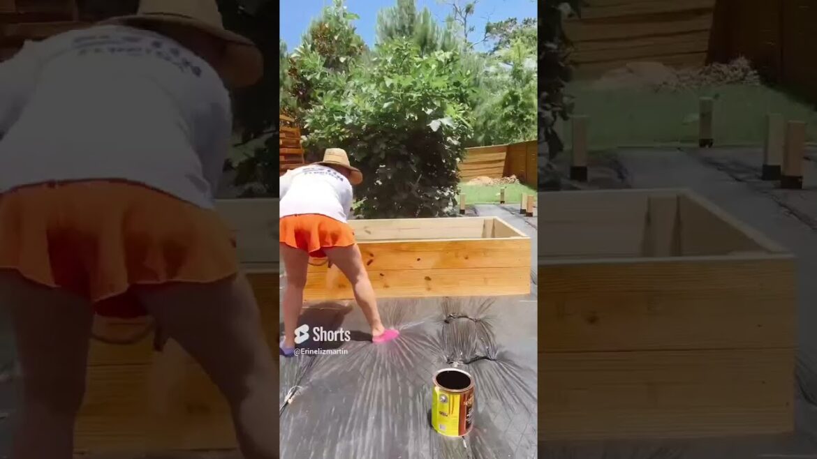 Transforming my backyard garden: Part 2