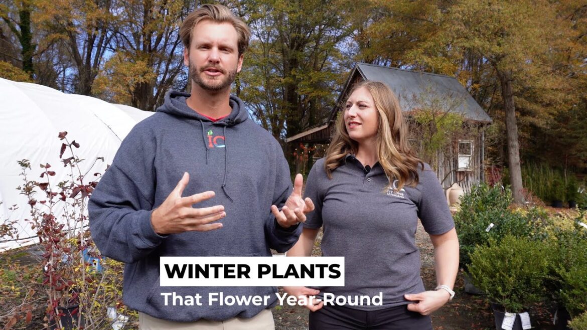 NURSERY VISIT 3 – BEST PLANTS TO INSTALL IN WINTER – IVY CREEK LANDSCAPES NURSERY VISIT 3 - BEST PLANTS TO INSTALL IN WINTER - IVY CREEK LANDSCAPES