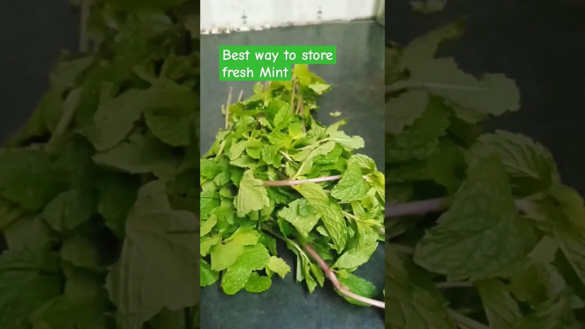 Easy hack #hack #vlog #shorts #mint #minivlog