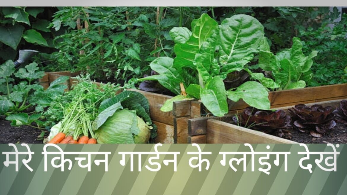 gardening|gardening tips|gardening for beginners|vegetable gardening|gardening tips|gardening for beginners|vegetable