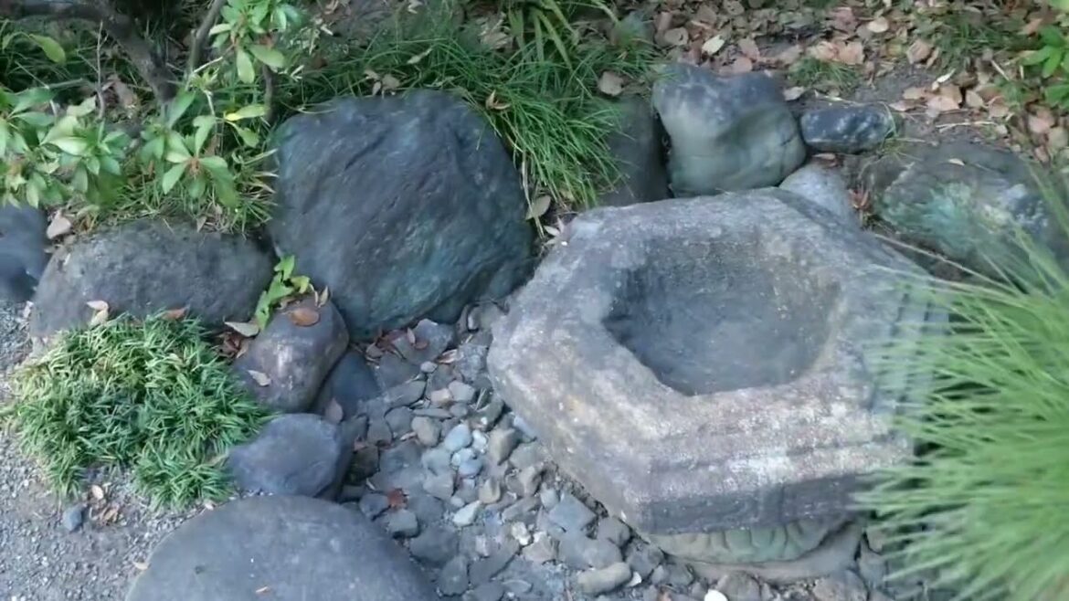Experience Serenity: Kiyosumi Garden’s Captivating Landscapes Experience Serenity: Kiyosumi Garden's Captivating Landscapes