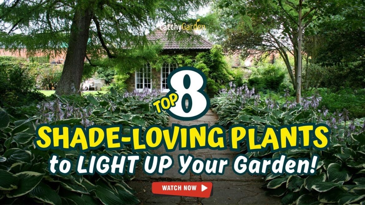 Top 8 SHADE-LOVING PLANTS to LIGHT UP Your Garden! 🌷🔥🌿 // Gardening Ideas