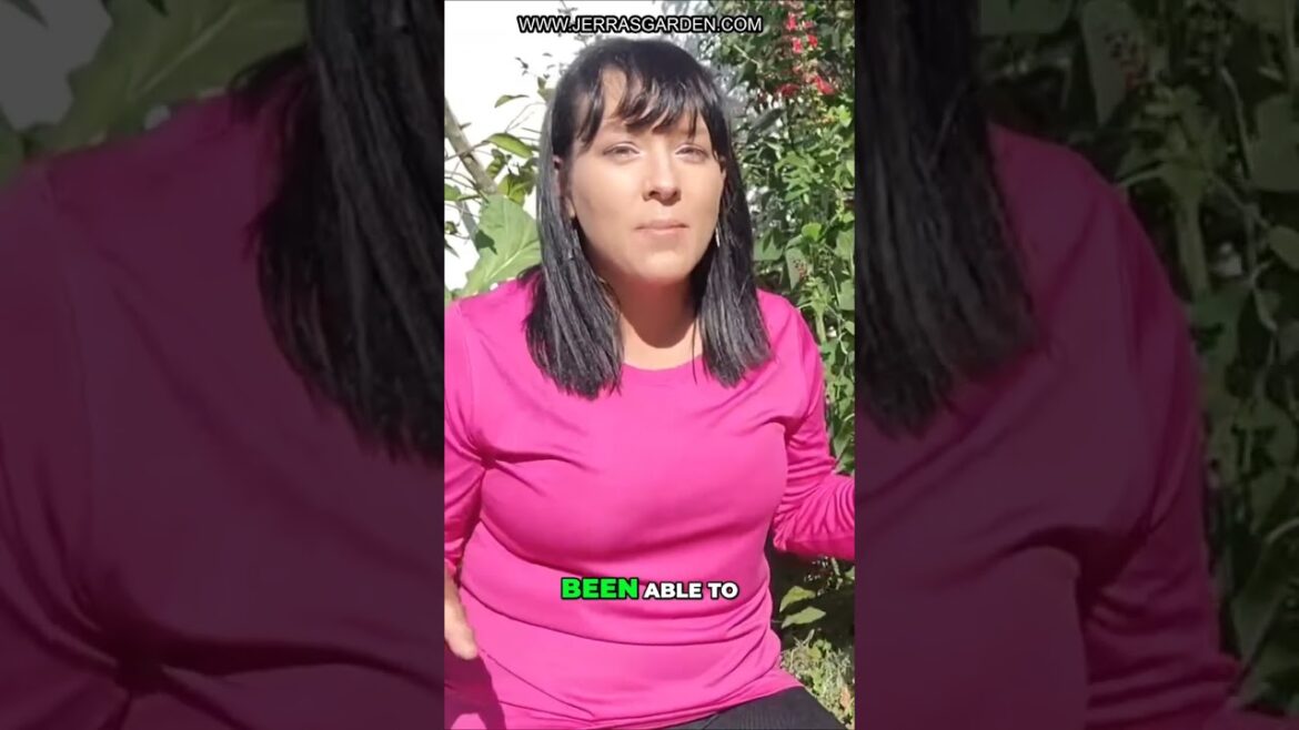 Grow Heat-Tolerant Greens in Your Florida Garden: Best Varieties and Tips