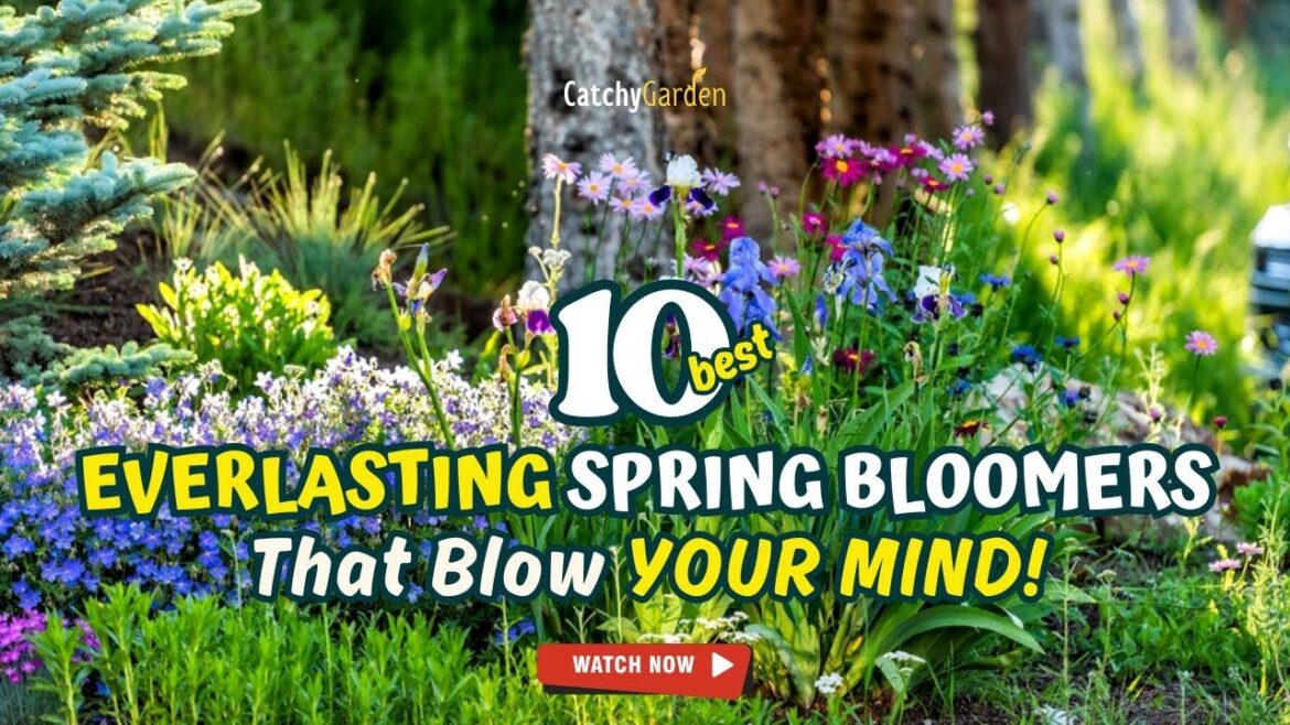 TOP 10 EVERLASTING SPRING BLOOMERS That Blow YOUR MIND! ๐ฅ๐ป๐ // Gardening Ideas TOP 10 EVERLASTING SPRING BLOOMERS That Blow YOUR MIND! ๐ฅ๐ป๐ // Gardening Ideas