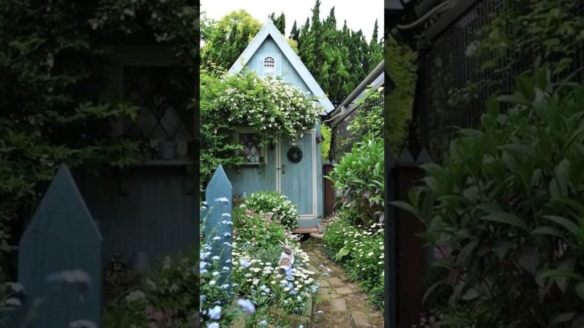 Beautiful GARDENING #garden