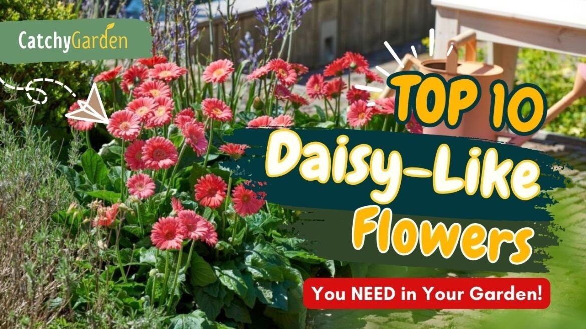 10 Gorgeous DAISY-LIKE FLOWERS You NEED in Your Garden! 🌻💫 // Gardening Ideas