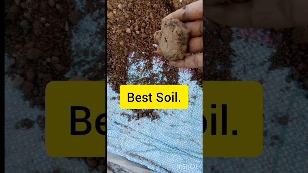Gamle ke liye best mitti🧺||#gardening#gamle ki mitti#container gardening#best potting mix#organic