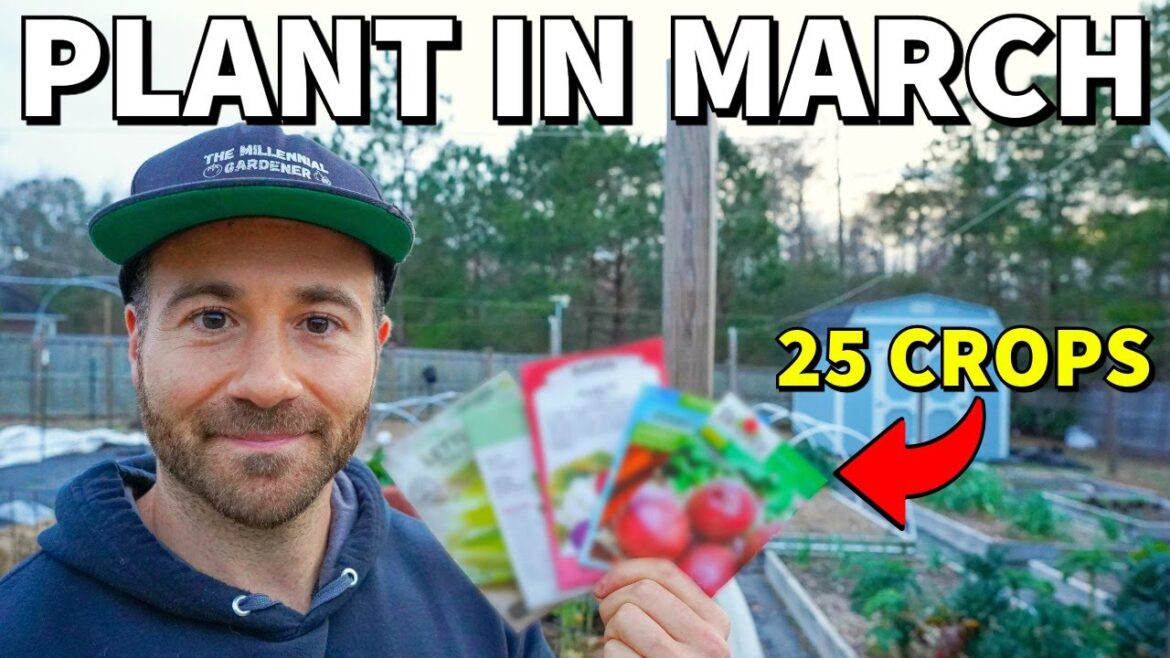 25 Veggies You Can Plant In March RIGHT NOW! 25 Veggies You Can Plant In March RIGHT NOW!