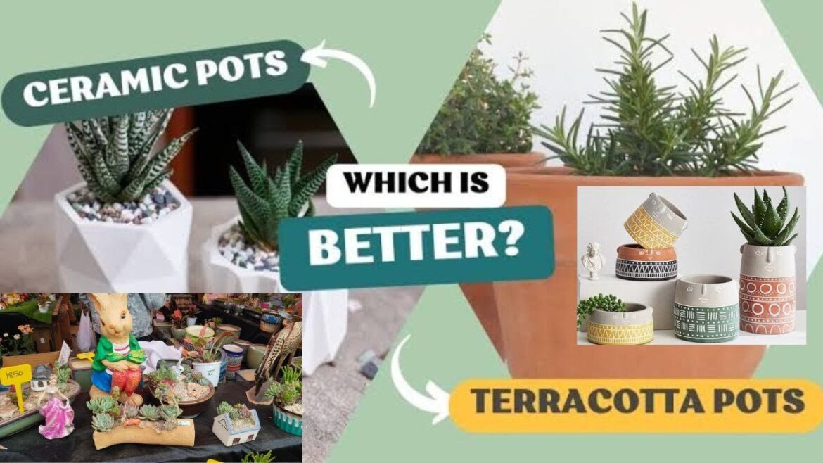 Best Pot for Plants | Clay pot, Cement pot, Ceramic Pot, Plastic pot comparison | #pot #gardening Best Pot for Plants | Clay pot, Cement pot, Ceramic Pot, Plastic pot comparison | #pot #gardening