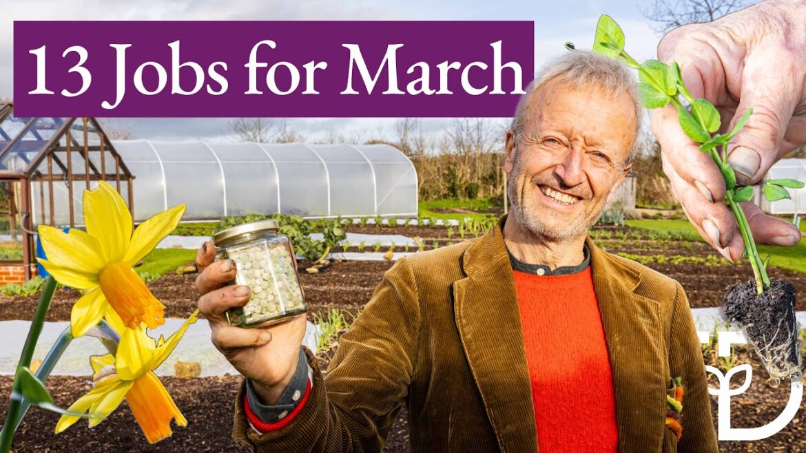 Early spring opportunities in vegetable growing Early spring opportunities in vegetable growing