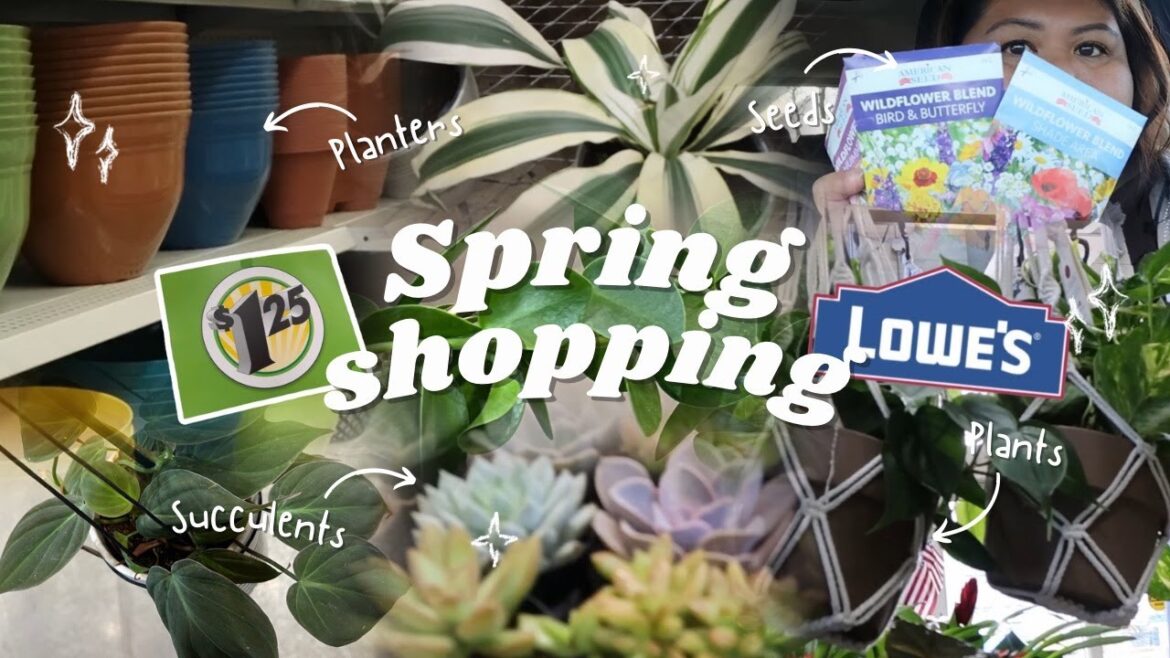 What spring gardening items to buy at Dollar Tree  & latest houseplants at Lowe's #plants #gardening